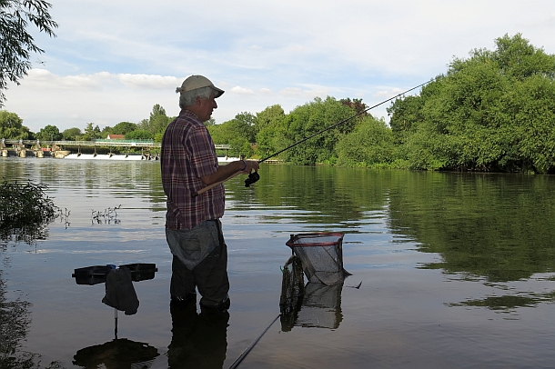 Image: Shane Chalker